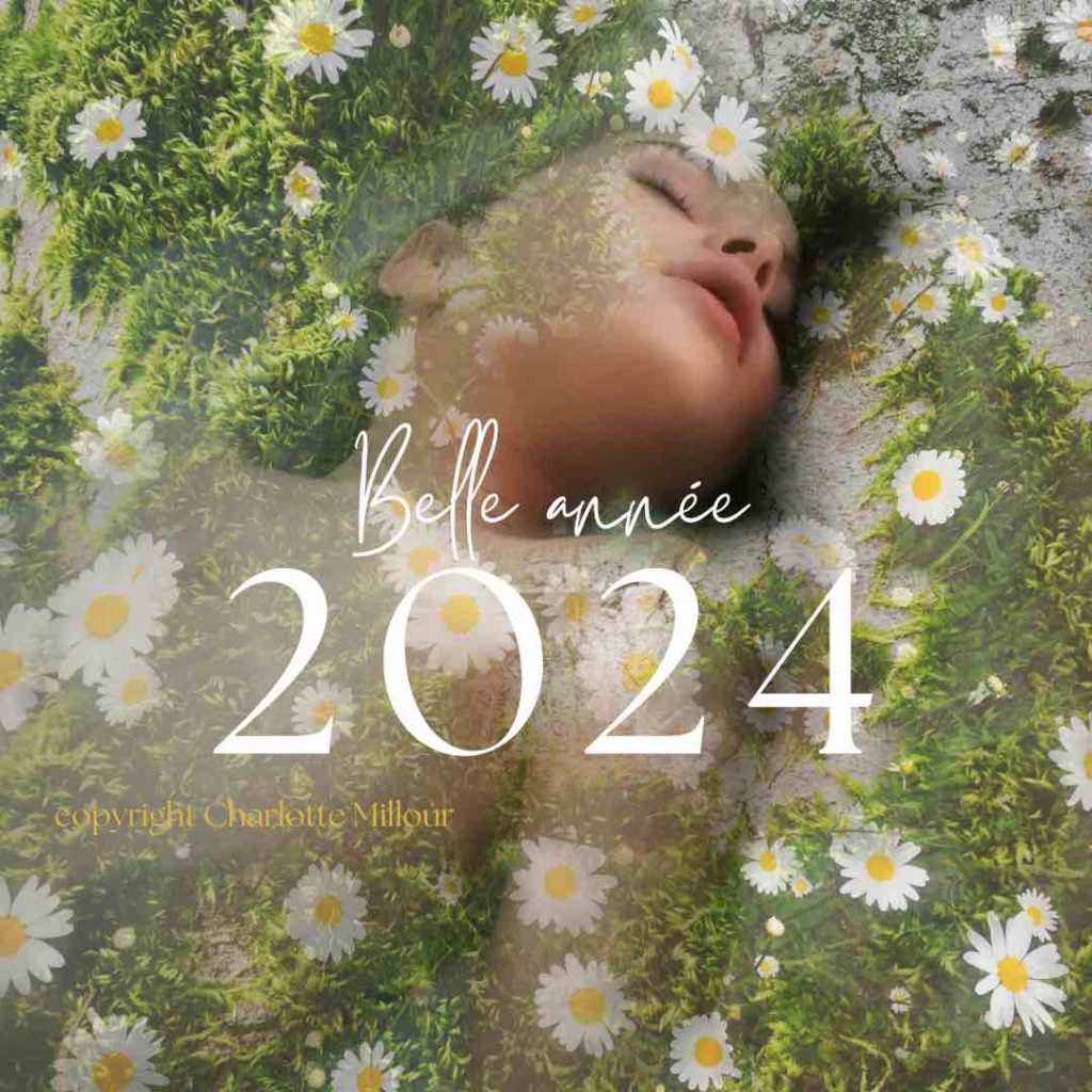 Voeux 2024 Charlotte Millour